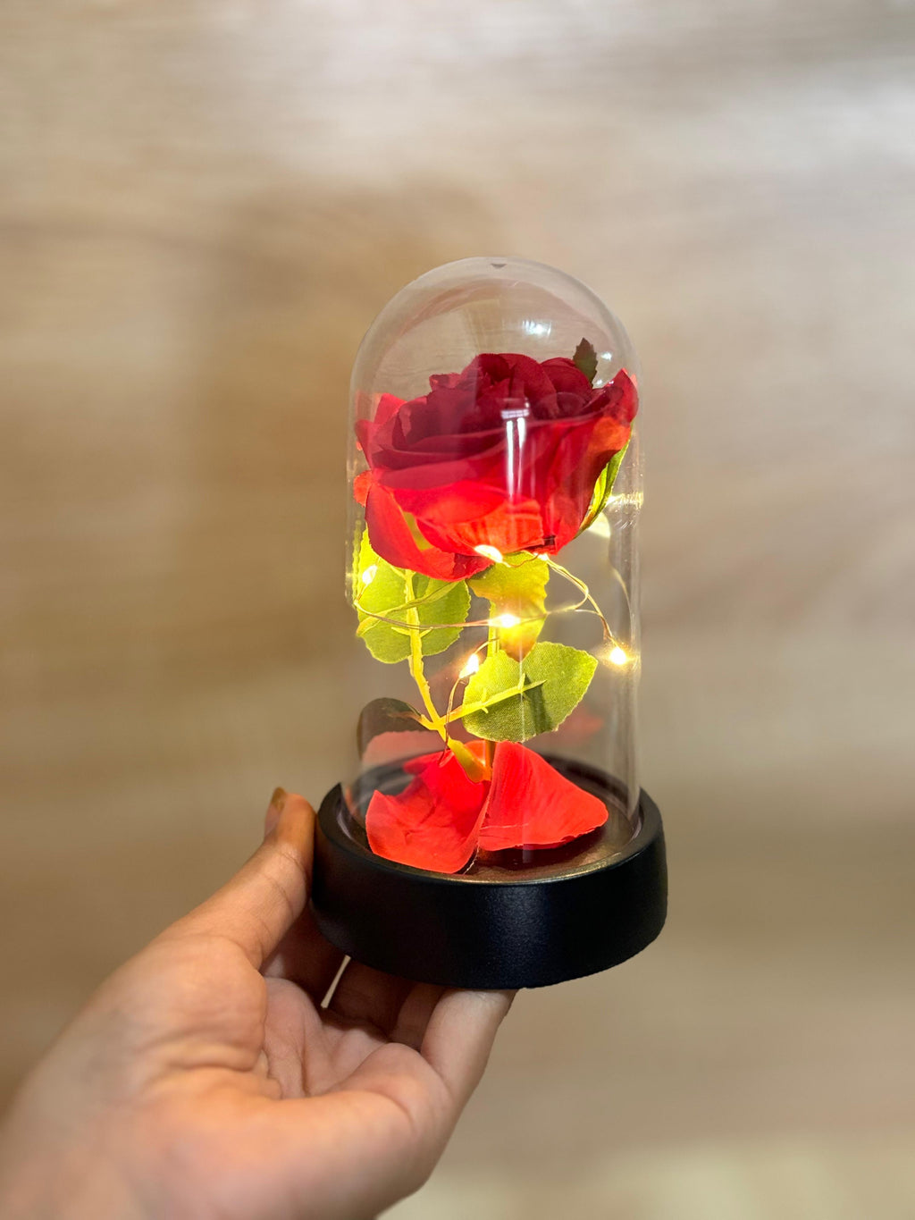 Rosa Eterna Iluminada + Joyero de Regalo