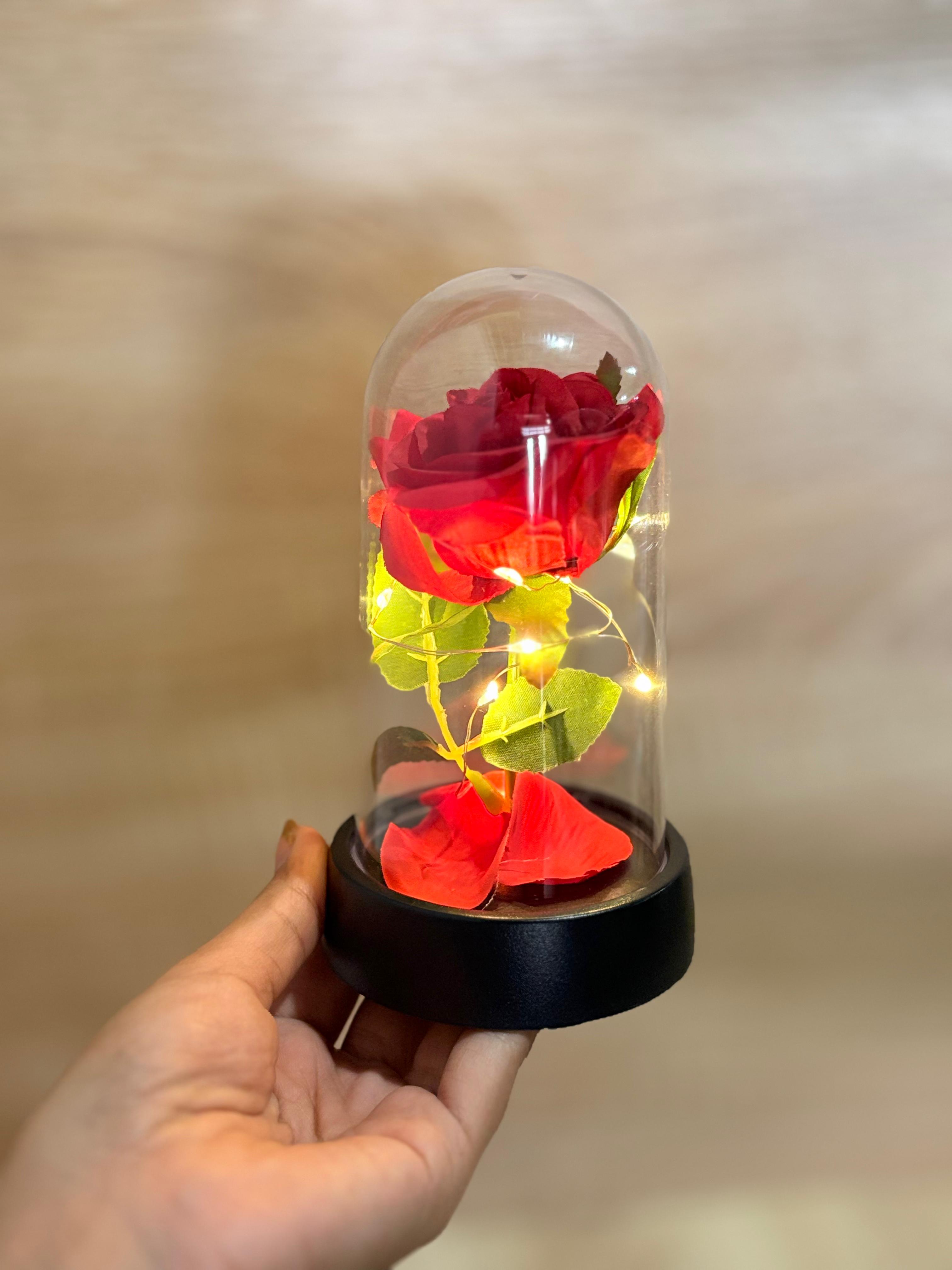 Rosa Eterna Iluminada + Joyero de Regalo
