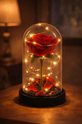 Rosa Eterna Iluminada + Joyero de Regalo